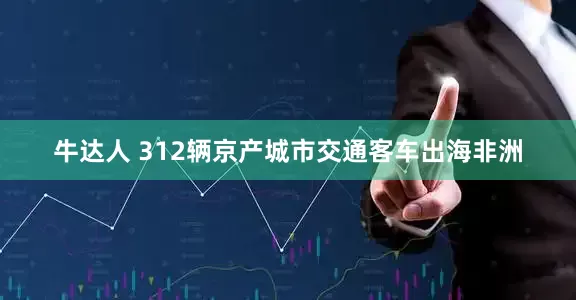 牛达人 312辆京产城市交通客车出海非洲