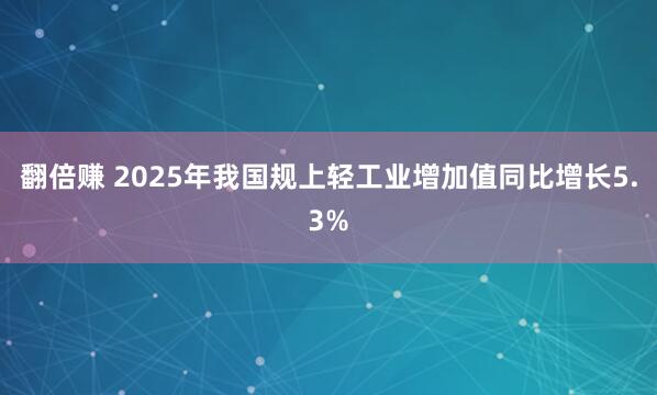 翻倍赚 2025年我国规上轻工业增加值同比增长5.3%
